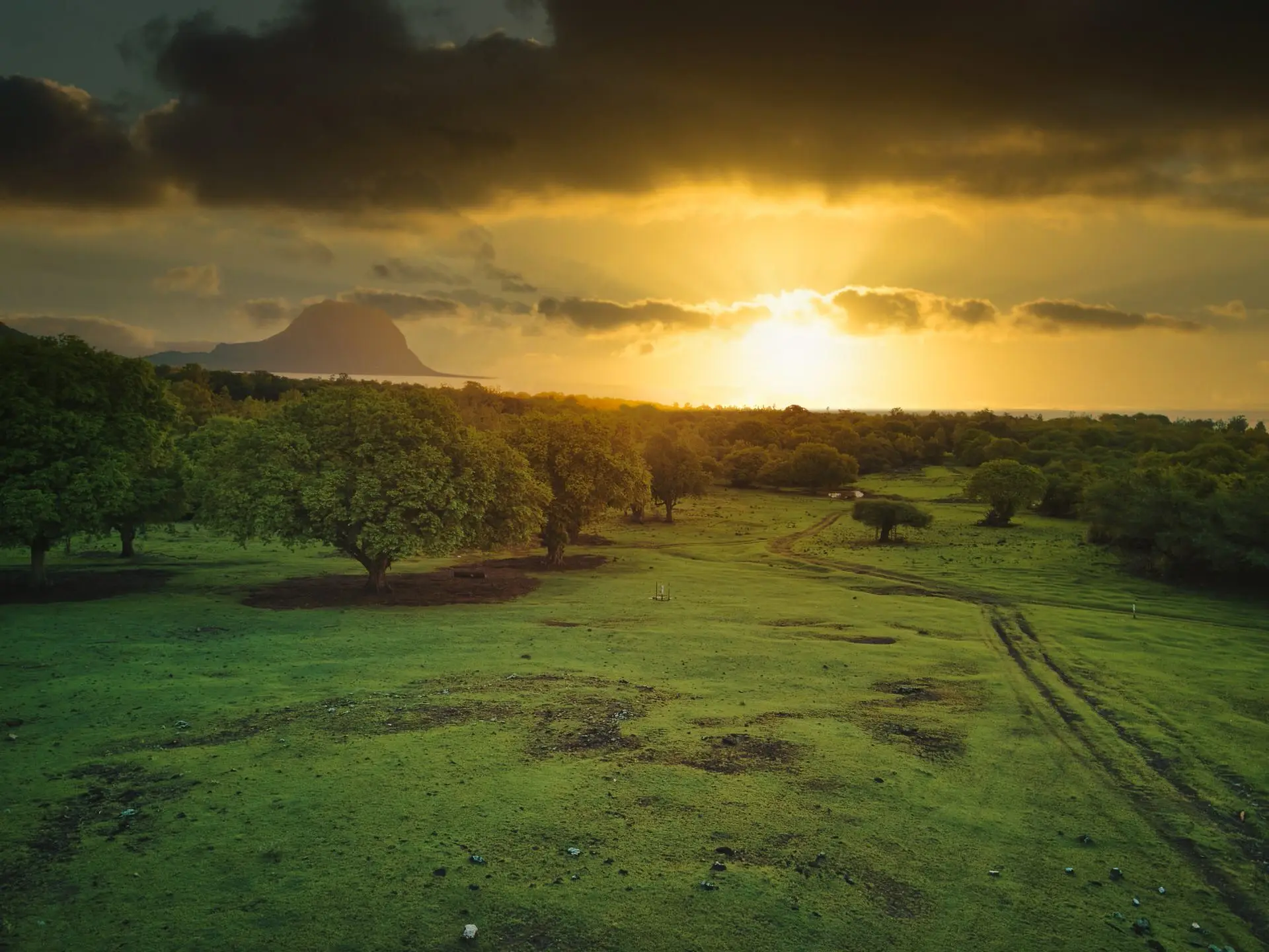 eco-conscious web design