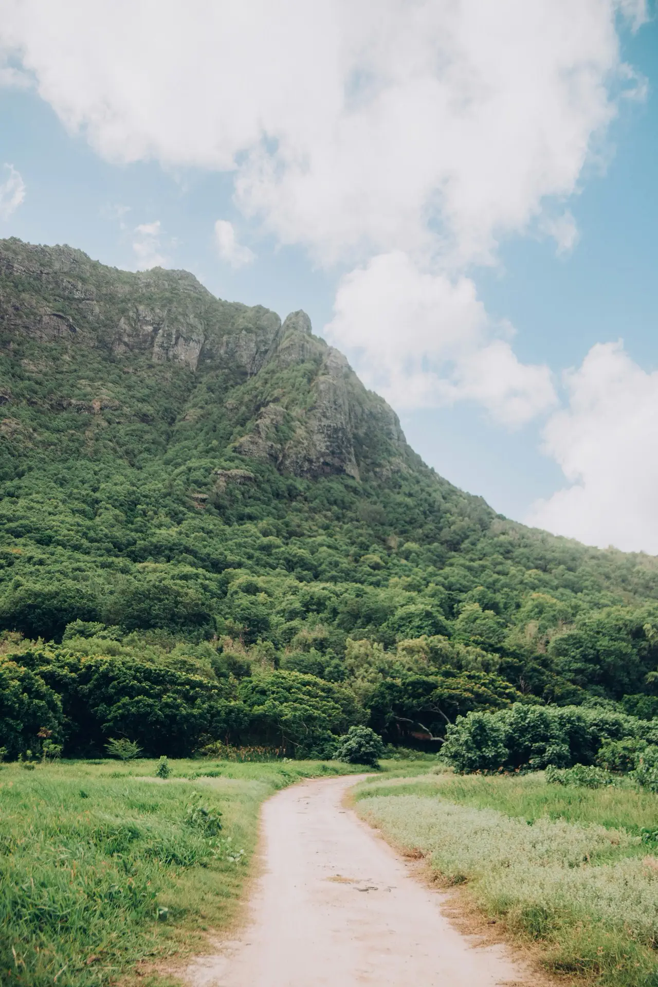 Web designer in Mauritius offering WordPress and SEO services