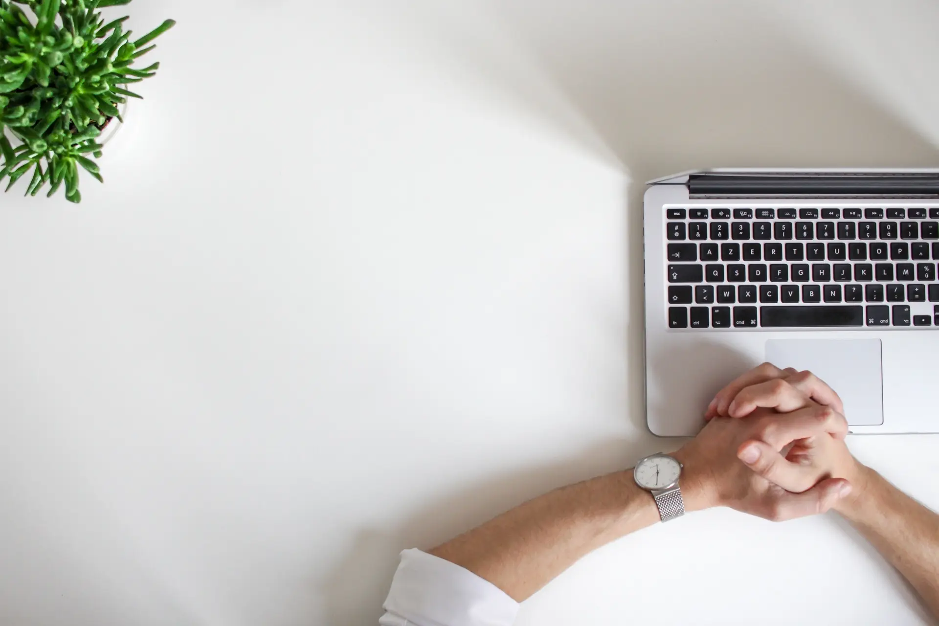 web developer in Mauritius